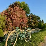 Tisza-tavi Nyaralosziget - Csak Par Lepesre A Tisza-to Partjatol